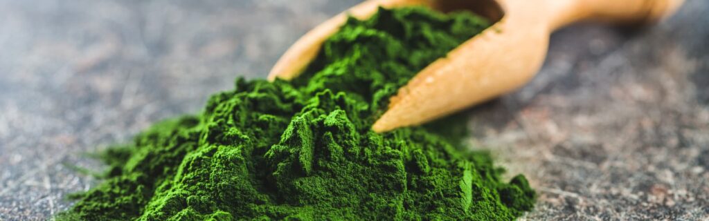 Spirulina-topnutrix-saude-emagrecimento